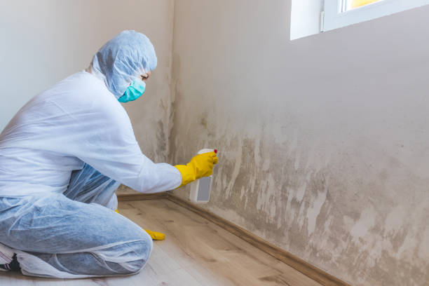 Licensed Mold Testing service in Lynnfield, MA - WQB Mold Removal